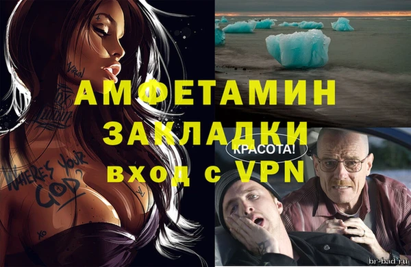 индика Белокуриха