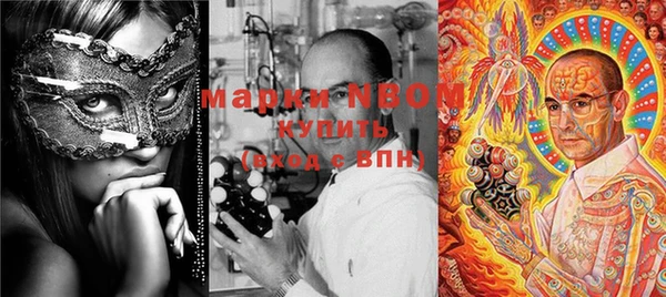 индика Белокуриха
