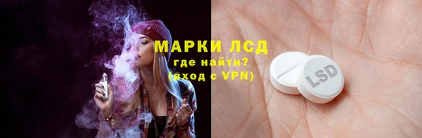индика Белокуриха