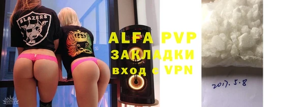 индика Белокуриха