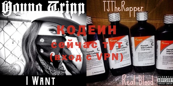 индика Белокуриха