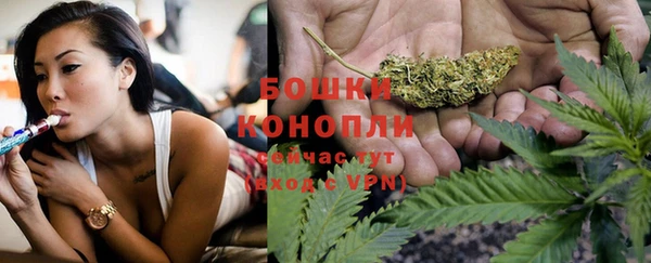 индика Белокуриха