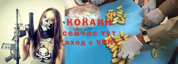 индика Белокуриха
