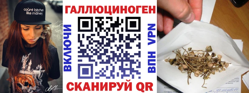 как найти закладки Волгореченск Псилоцибиновые грибы ЛСД